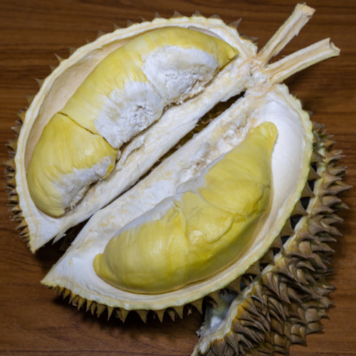 ドリアン